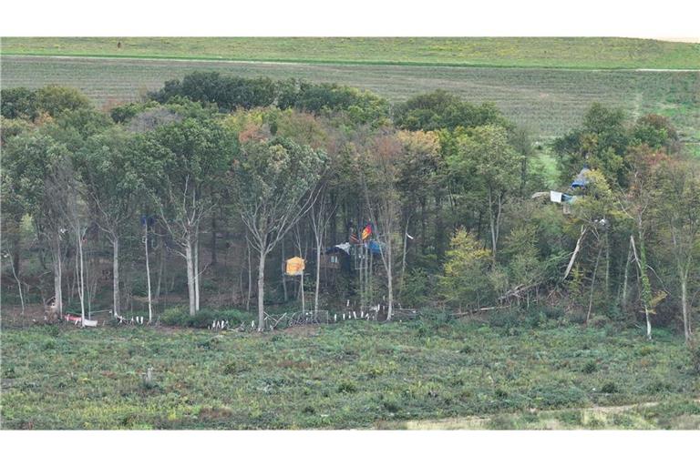 Das Waldstück soll geräumt werden.
