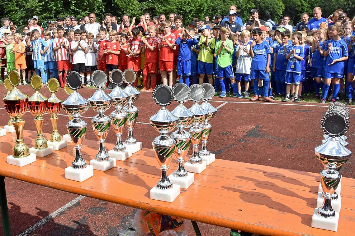 Doppelerfolge für den SV Allmersbach und die TSG Backnang Das Warten hat ein Ende, bei der Siegerehrung gibt es die Pokale. Foto: Tobias Sellmaier