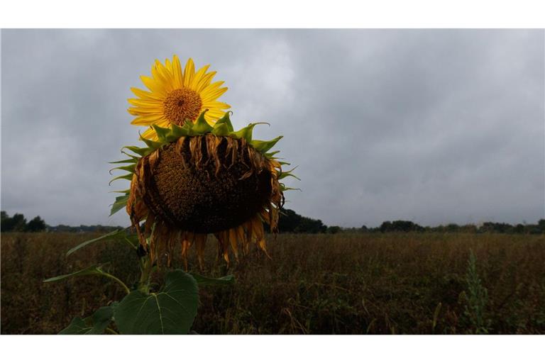 Das Wetter in Baden-Württemberg bleibt wechselhaft. (Symbolbild)
