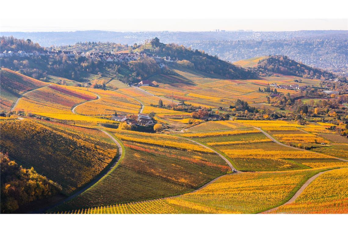 Das Wetter lädt zum Spazieren in den Weinbergen ein (Archivbild).