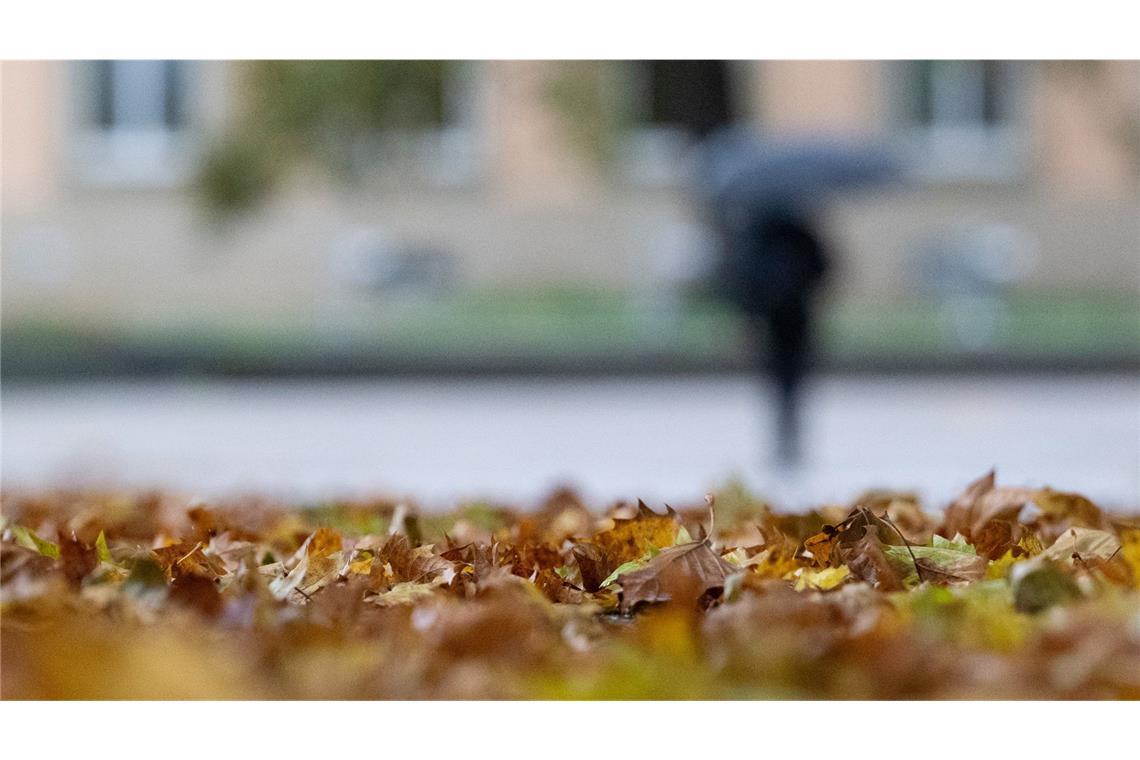 Das Wetter zeigt sich in den kommenden Tagen von seiner ungemütlichen Seite. (Symbolbild)