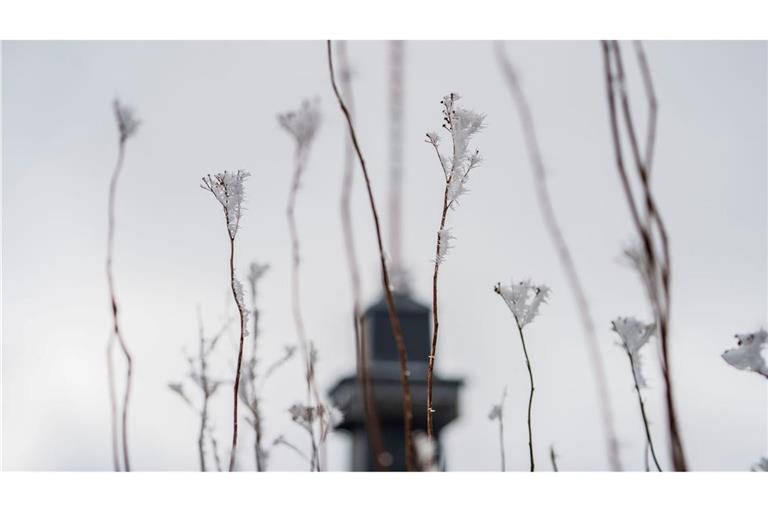 Das Wetter zum Wochenende wird wechselhaft.