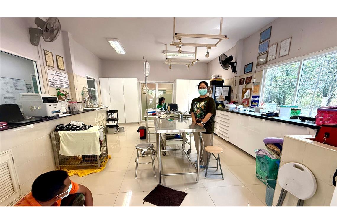 Tiger im OP: Besuch in Thailands erstem Wildtier-Krankenhaus Das Wildlife Hospital von WFFT war die erste Wildtierklinik in Thailand - bis heute ist sie die modernste.