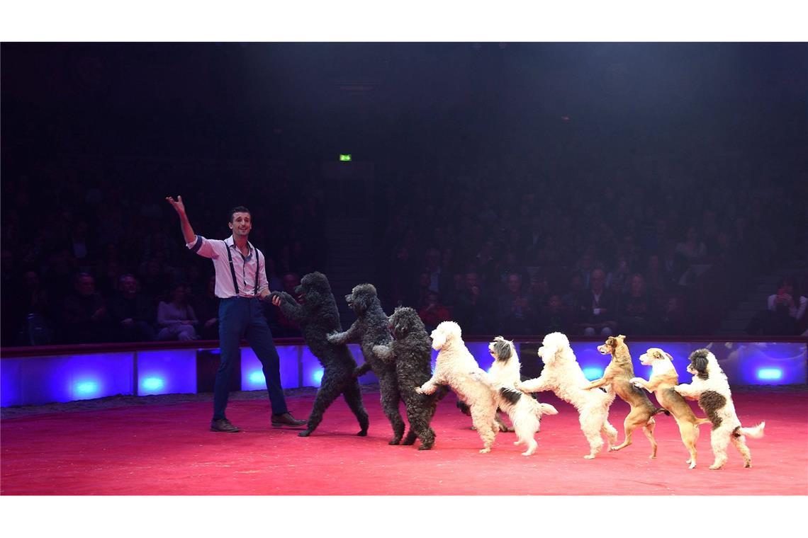 Das Winterprogramms steht in diesem Jahr unter dem Motto „Ich. Du. Wir. Krone“. (Archiv)