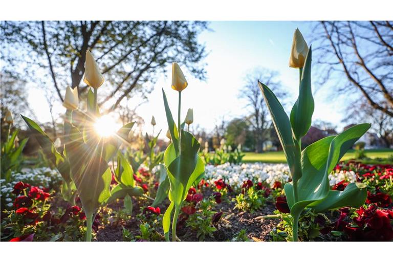 Das Wochenende startet sonnig.
