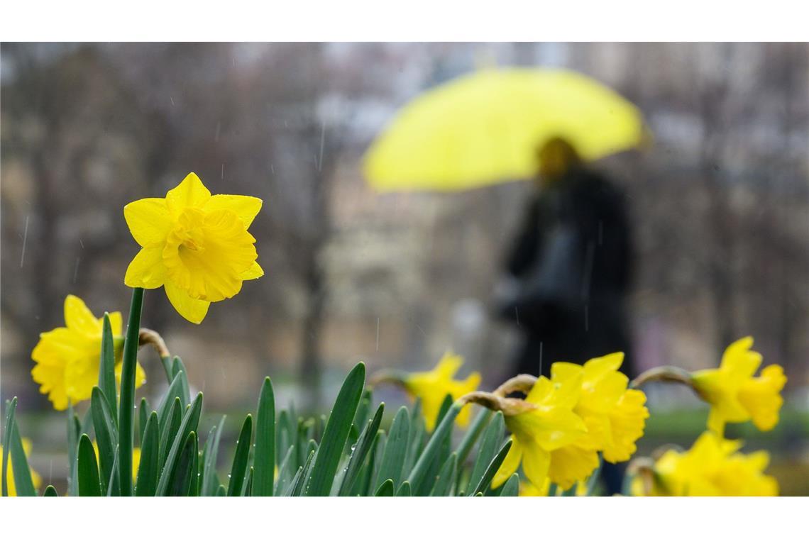 Sonne, Wolken und Regen – so wird das Wetter am Wochenende Das Wochenende wird wechselhaft. (Symbolbild)