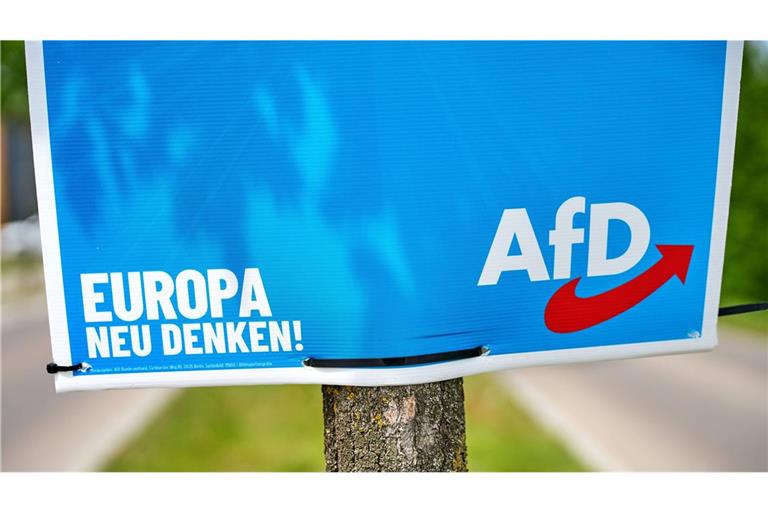 Daten zeigen, welche strukturellen Ähnlichkeiten es zwischen den AfD-Hochburgen im Land gibt.