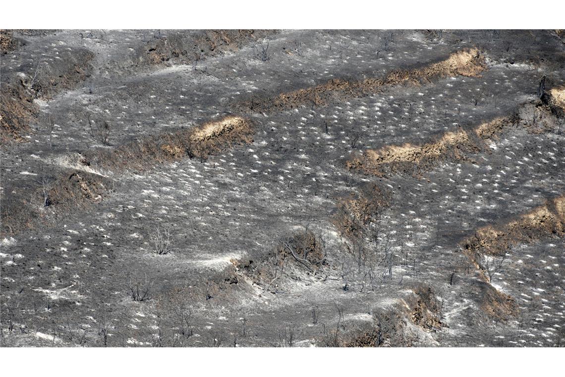 120 Quadratkilometer Fläche auf Zypern verbrannt Den Behörden zufolge soll eine Fläche von rund 120 Quadratkilometern verbrannt sein.