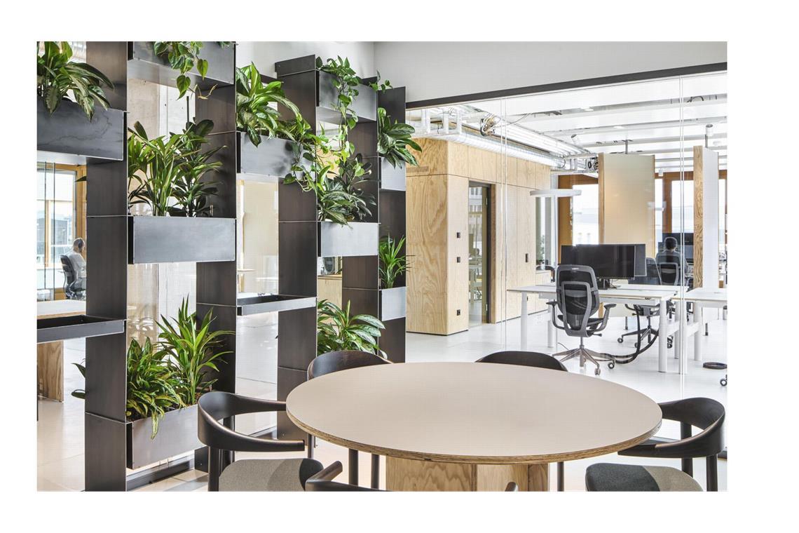 Stuttgarter Architekten räumen beim Preis für die besten Bürobauten ab Der 1. Preis ging unter anderem an das Architekturbüro Henning Larsen Architects für die Gestaltung der Bürofusion des eigenen Unternehmens mit der Firma Ramboll. Standort ist München. Meetingarea und Arbeitstischflächen werden mit gliedernd eingesetztem Planzengrün kombiniert.
