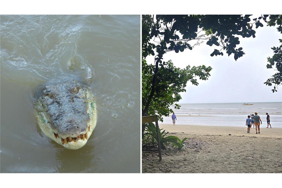 Der 14-Jährige wurde beim Angeln am Myall Beach von dem Krokodil angegriffen (links Symbolbild, rechts Archivbild).