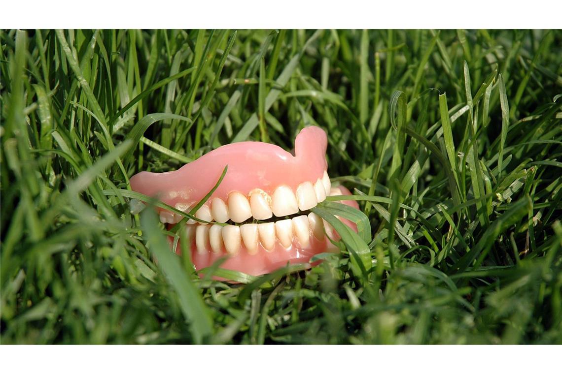 Mann randaliert in Garten – und wird durch verlorenes Gebiss überführt Der 60-Jährige verlor sein Gebiss in einem Garten, in dem er randaliert und Gegenstände beschädigt hatte. (Symbolfoto)