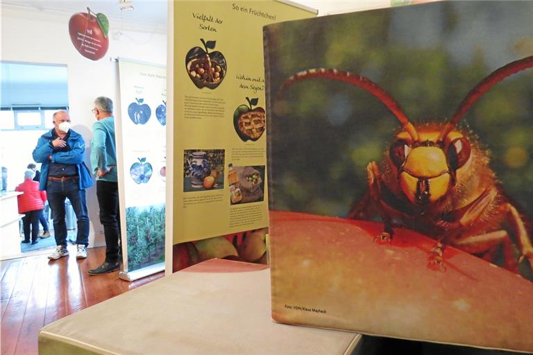 „Der Apfel. Liebling der Streuobstwiesen“ vermittelt, wie wertvoll der Lebensraum ist, Kinder erwarten auch interaktive Elemente. Foto: C. Schick
