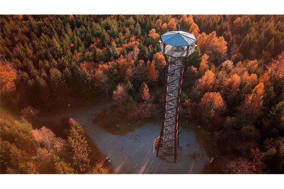 Pforzheimer Bürgermeister ordnet Rückbau des Aussichtsturms an Der Aussichtsturm im Pforzheimer Stadtteil Hohenwart ist 40 Meter hoch. Wegen Einsturzgefahr soll er nun schrittweise abgebaut werden.