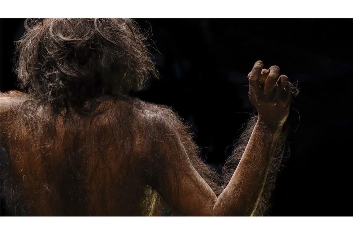 Frühmenschen in südlichem Afrika ernährten sich vegetarisch Der Australopithecus und andere Frühmenschen-Arten lebten im heutigen Südafrika vor mehr als drei Millionen Jahren vorwiegend vegetarisch.