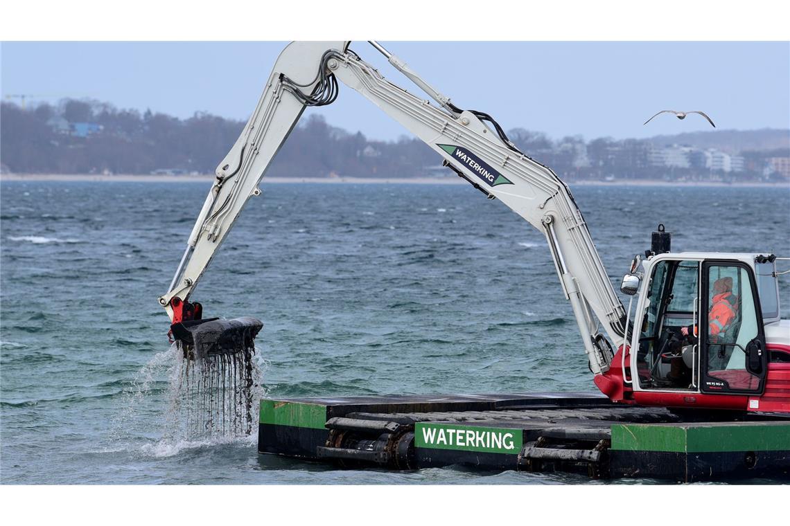 Der Bagger gräbt eine Rinne für den gestrandeten Wal.