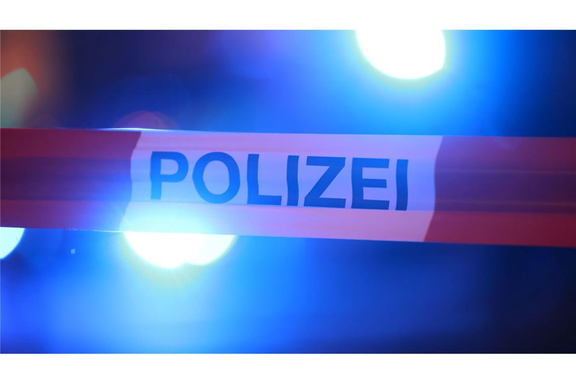 Hinweise auf Schusswaffen im Zug bewahrheiten sich nicht Der Bahnhof in Neumünster war komplett abgesperrt. (Symbolbild)