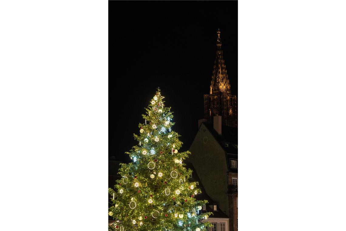 6 Tipps für einen Adventsausflug nach Straßburg Der Baum ist mit 30 Metern Höhe der wohl größte geschmückte Weihnachtsbaum Europas.