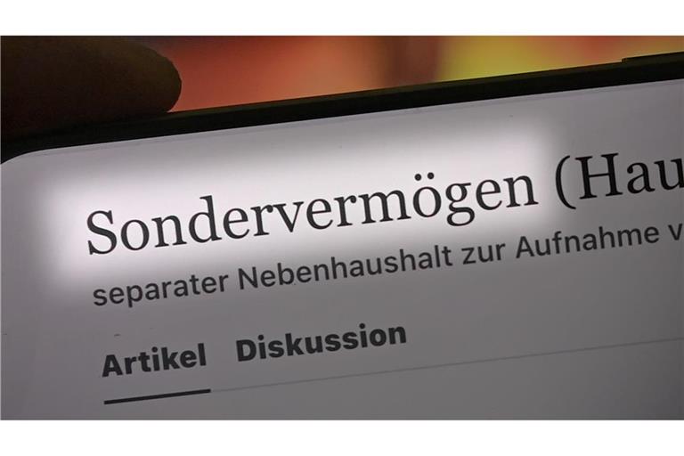 Der Begriff „Sondervermögen“ ist zum Unwort des Jahres gewählt worden.