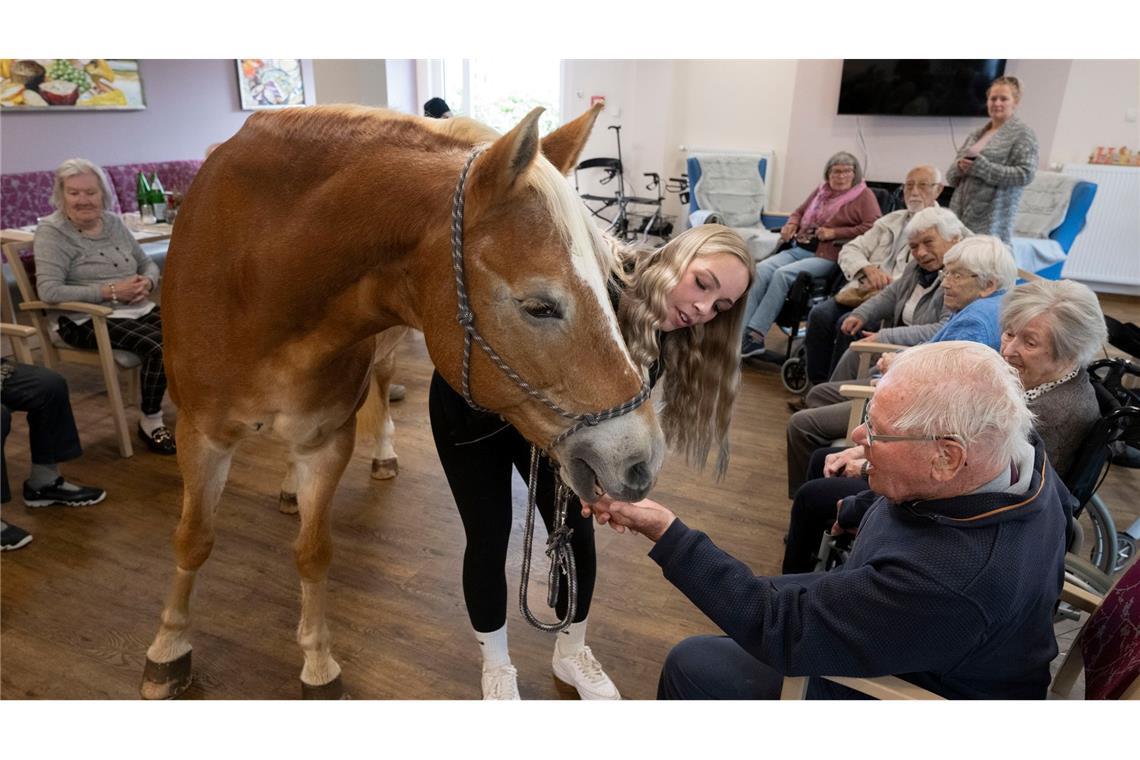 Kommt ein Pferd in den Speisesaal - Stute besucht Pflegeheim Der Besuch der Stute ist für die alten Menschen eine willkommene Abwechslung zum Alltag im Altersheim.