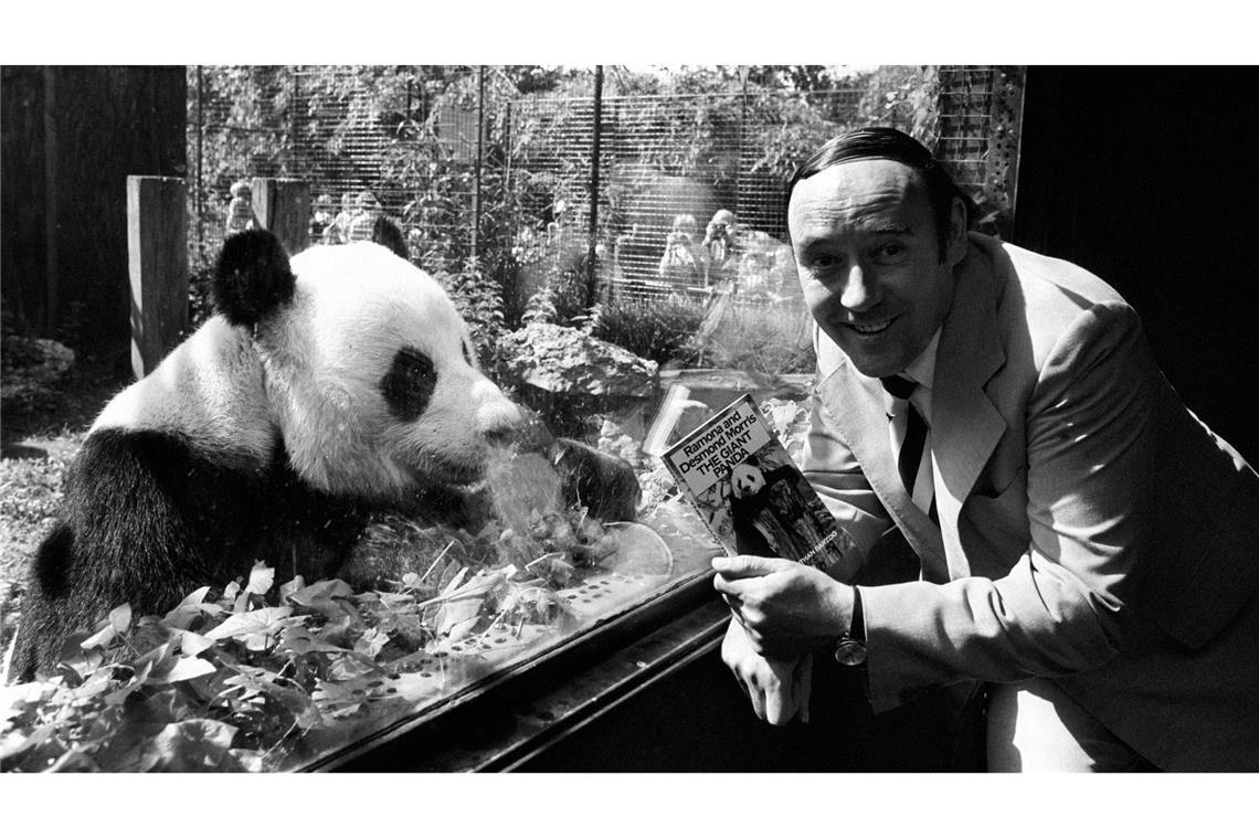 Der Biologe Desmond Morris - hier eine Aufnahme von 1981 - wurde mit seinem Buch "Der nackte Affe" weltbekannt.