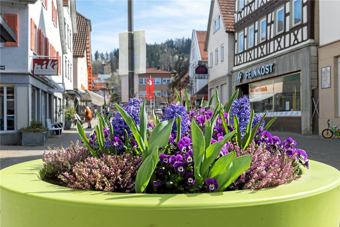 Stadt will Perspektive für Neustart bieten Der Blumenschmuck und weitere Begrünung gehören auch zum Programm.