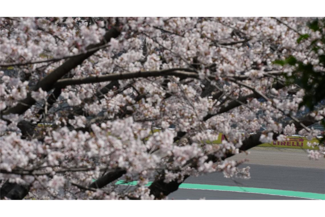 Der britische Ferrari-Pilot Lewis Hamilton steuert sein Auto.