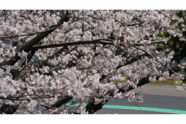 Der britische Ferrari-Pilot Lewis Hamilton steuert sein Auto.