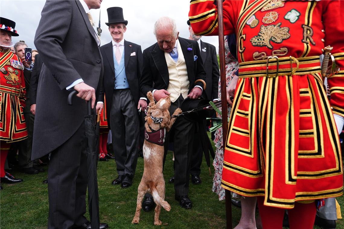 Der britische König Charles III. (M.) trifft während der jährlichen Gartenparty des britischen Königshauses im Buckingham Palace den Hörhund Vegas, der von der Wohltätigkeitsorganisation "Hearing Dogs for Deaf People" ausgebildet wurde.
