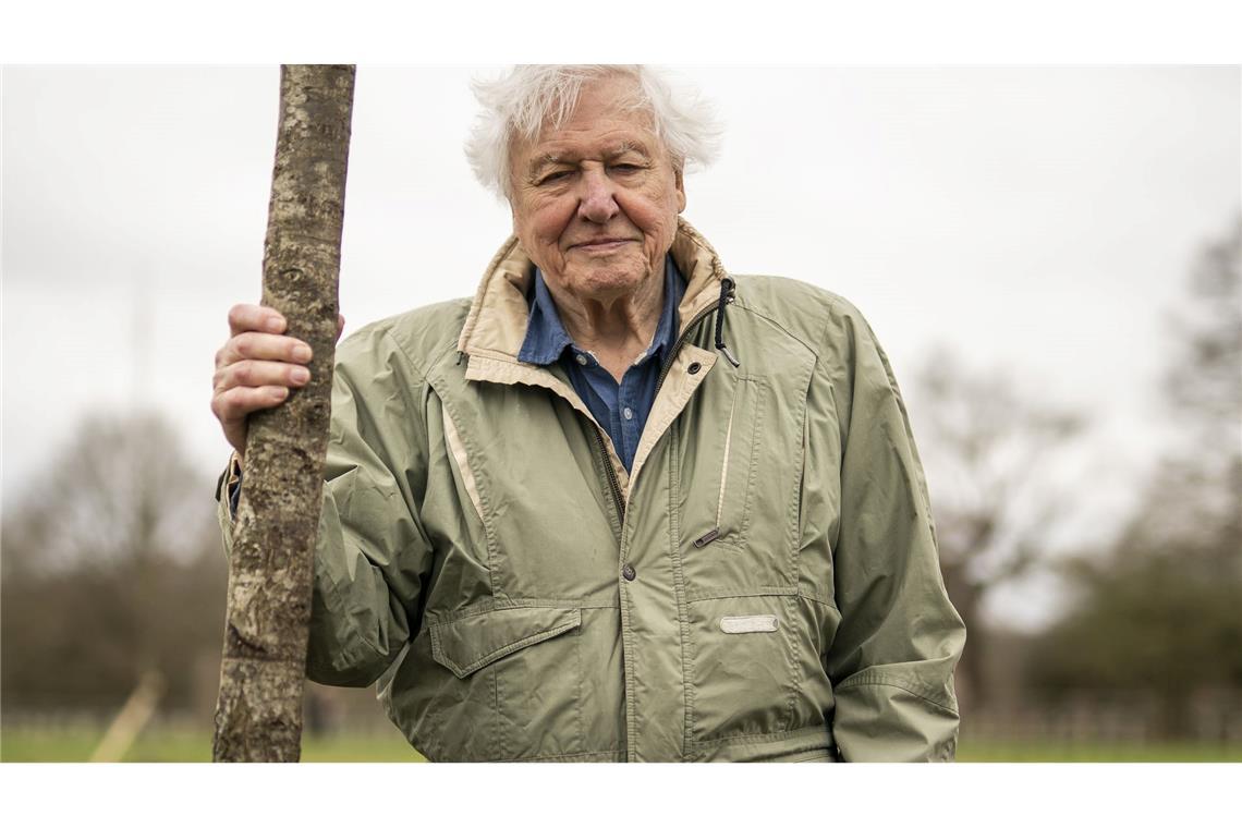 Der britische Naturforscher und Dokumentarfilmer David Attenborough feiert seinen 100. Geburtstag. (Archivbild)