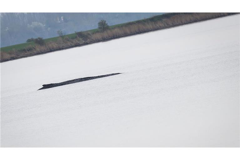 Der Buckelwal liegt weiterhin vor der Insel Poel, am Donnerstag startet ein weiterer Rettungsversuch.