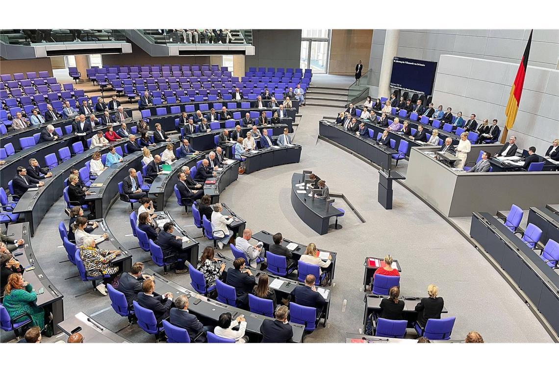 AfD-Eklat im Bundestag am Gedenktag für Opfer von Srebrenica Der Bundestag am Gedenktag des Völkermords an Muslimen in Bosnien-Herzegowina.