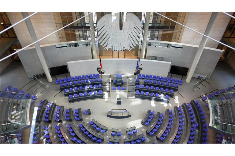 Der Bundestag soll die gesamte Gesellschaft vertreten. Aber macht er das wirklich?