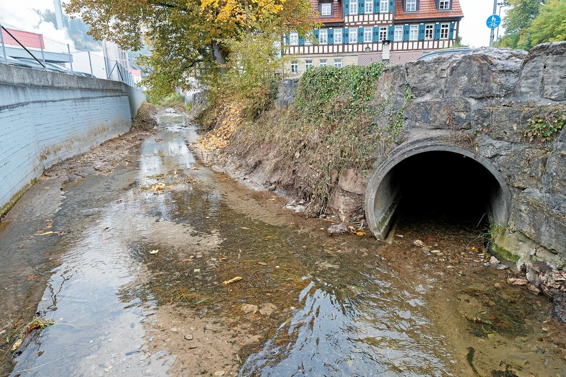Der Dentelbach mündet nach der Rümelinsmühle später in einen künstlichen Kanal.