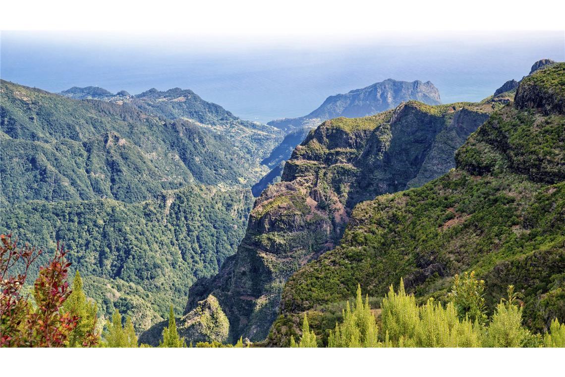 Deutscher Tourist klettert über Absperrung und stürzt in den Tod Der deutsche Tourist stürzte beim Areeiro in den Tod. (Archivbild vom Gebirge in Nähe des Pico do Areeiro)