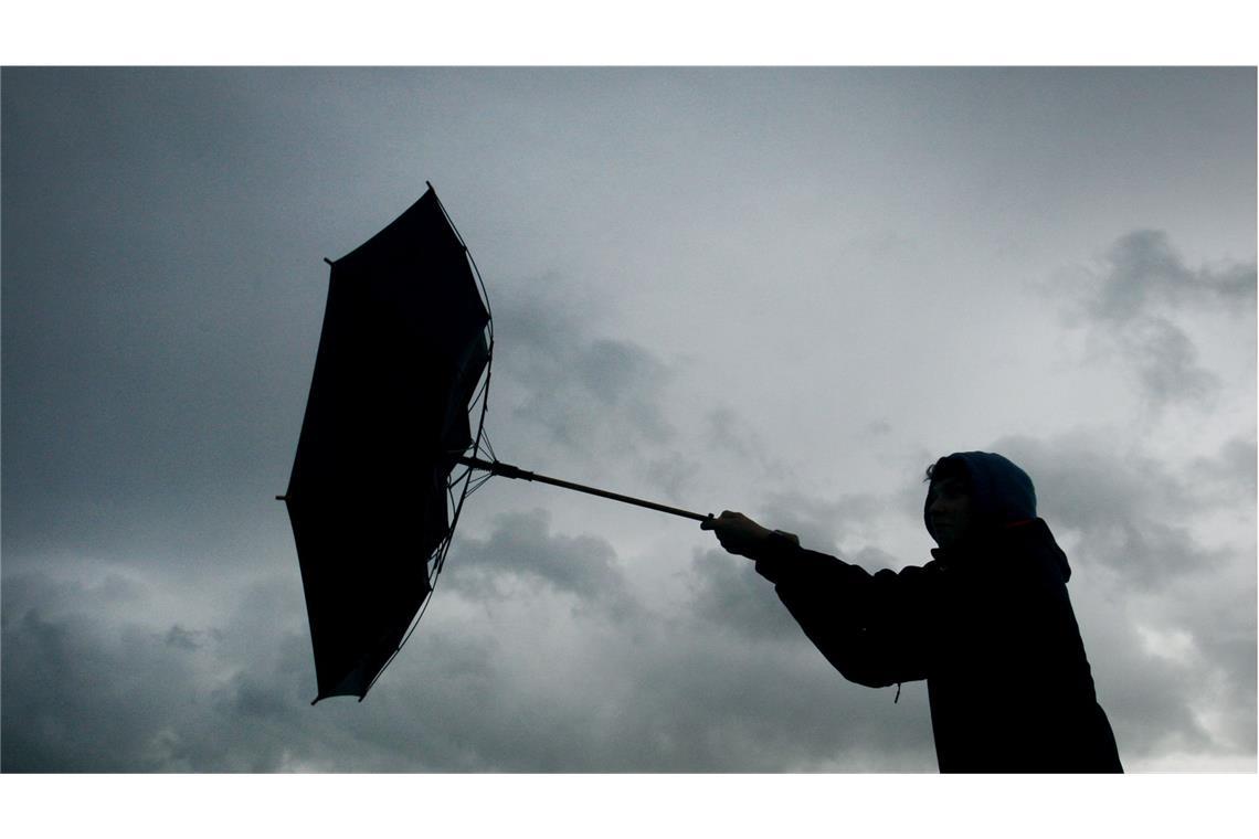 DWD warnt vor Orkanböen im Südwesten Der Deutsche Wetterdienst (DWD) gibt eine Warnung vor orkanartigen Böen im Südwesten heraus (Symbolfoto).