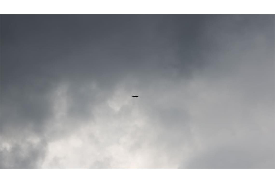 Der Deutsche Wetterdienst warnt vor Unwettern in Baden-Württemberg.