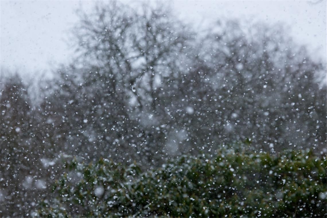 Der DWD erwartet heute teils kräftigen Schneefall in BW.