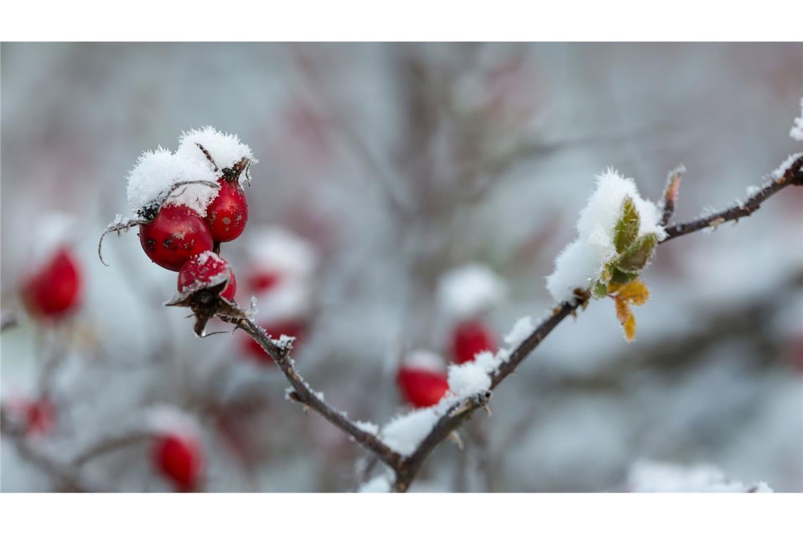 Der DWD spricht von einer "frühwinterlichen Phase im Spätherbst".