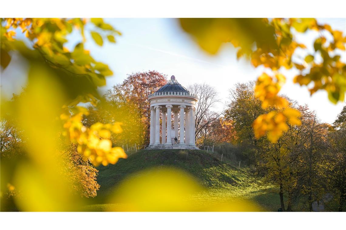 Der Englische Garten im Morgenlicht.