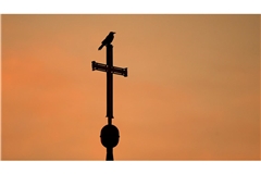 Der Fall einer Beraterin bei einem katholischen Verein beschäftigt das höchste europäische Gericht. (Archivbild)