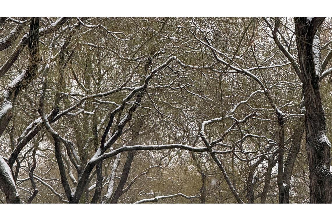 Der französische Verkehrsminister hatte dazu aufgerufen, rund um Paris geplante Fahrten am Morgen zu verschieben.