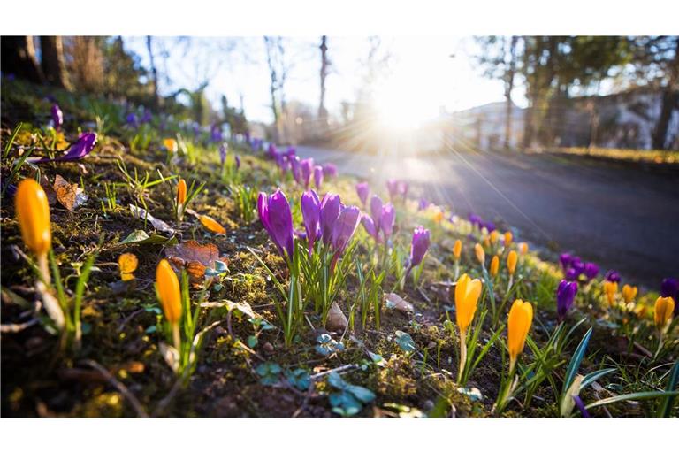 Der Frühling hält Einzug in Stuttgart.