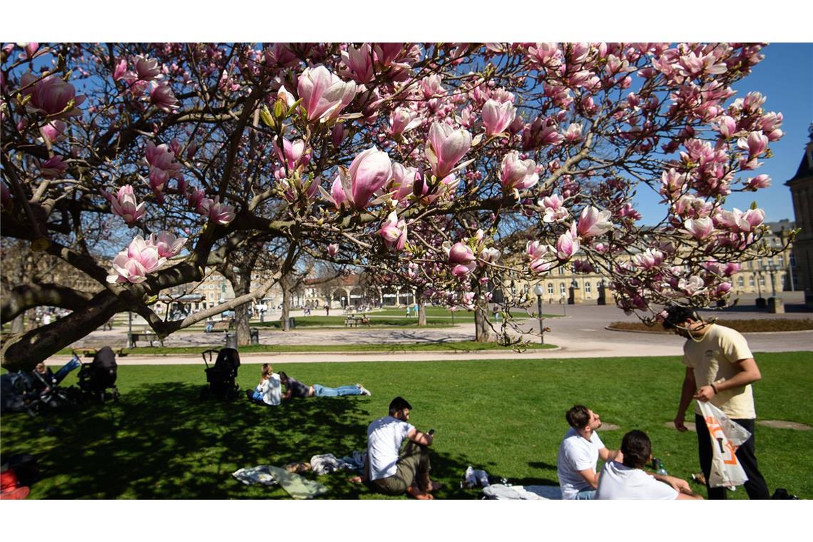 Der Frühling lädt zum Verweilen an der frischen Luft ein (Archivbild).