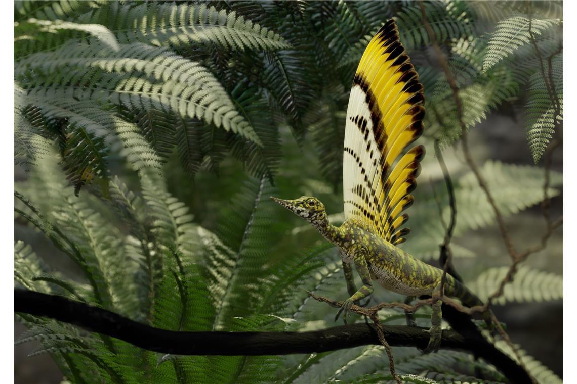 Wie ein fossiler „Wundersaurier“ das Verständnis der Reptilien-Evolution verändert