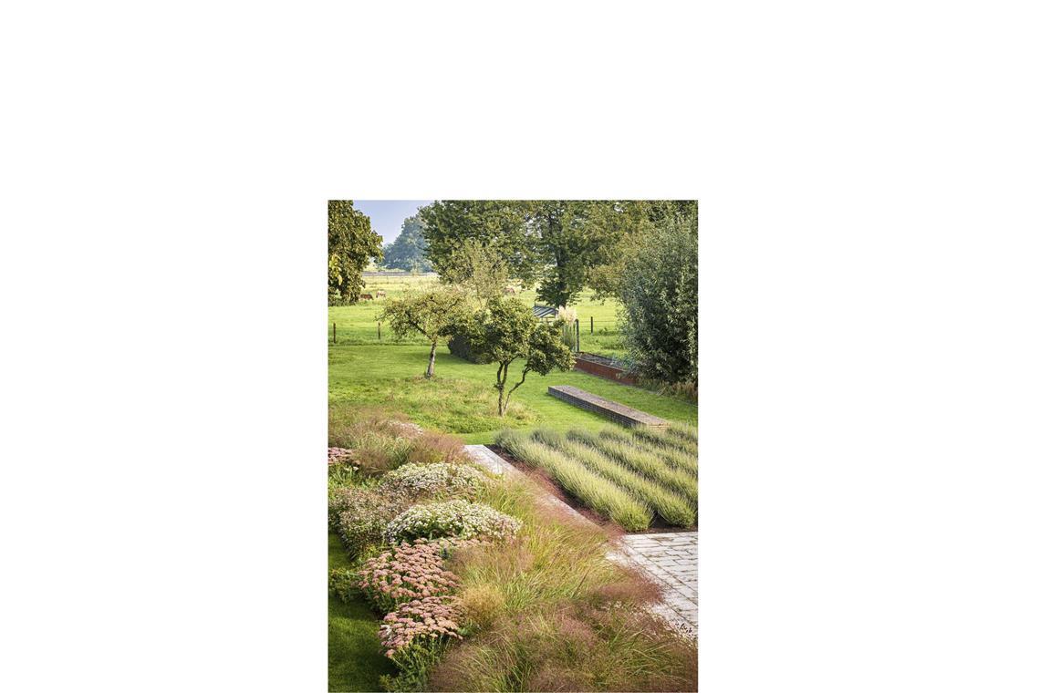Das sind die schönsten Gärten des Jahres Der Gewinnergarten liegt am Stadtrand von Krefeld und wurde vom Landschaftsarchitekten Burkhard Damm entworfen. Der Hausgarten ist stolze 2500 Quadratmeter groß und besticht laut der Jury durch „seine geschickte gestalterische Zonierung mit einem vorbildlichen Übergang in die freie Landschaft des Niederrheins“.