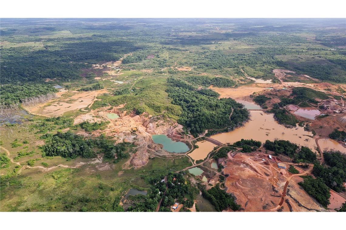 Der Gipfel konnte sich nicht auf deutliche Beschlüsse im Kampf gegen die Entwaldung einigen. (Archivbild)