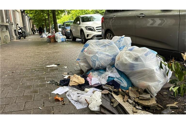 Der Hausmüll bleibt in Brüssel oft tagelang auf der Straße liegen, bevor er abgeholt wird. Seit Jahren kämpft die Stadt gegen das Problem, bisher ohne Erfolg.