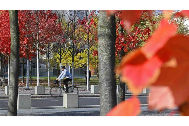 Der Herbst zeigt sich in Baden-Württemberg von seiner freundlichen Seite. (Symbolbild)