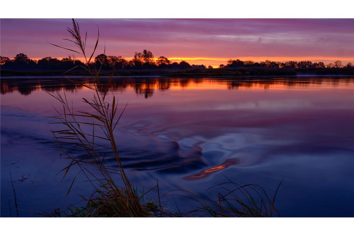Der herbstliche Sonnenaufgang spiegelt sich auf der Oder in Brandenburg.