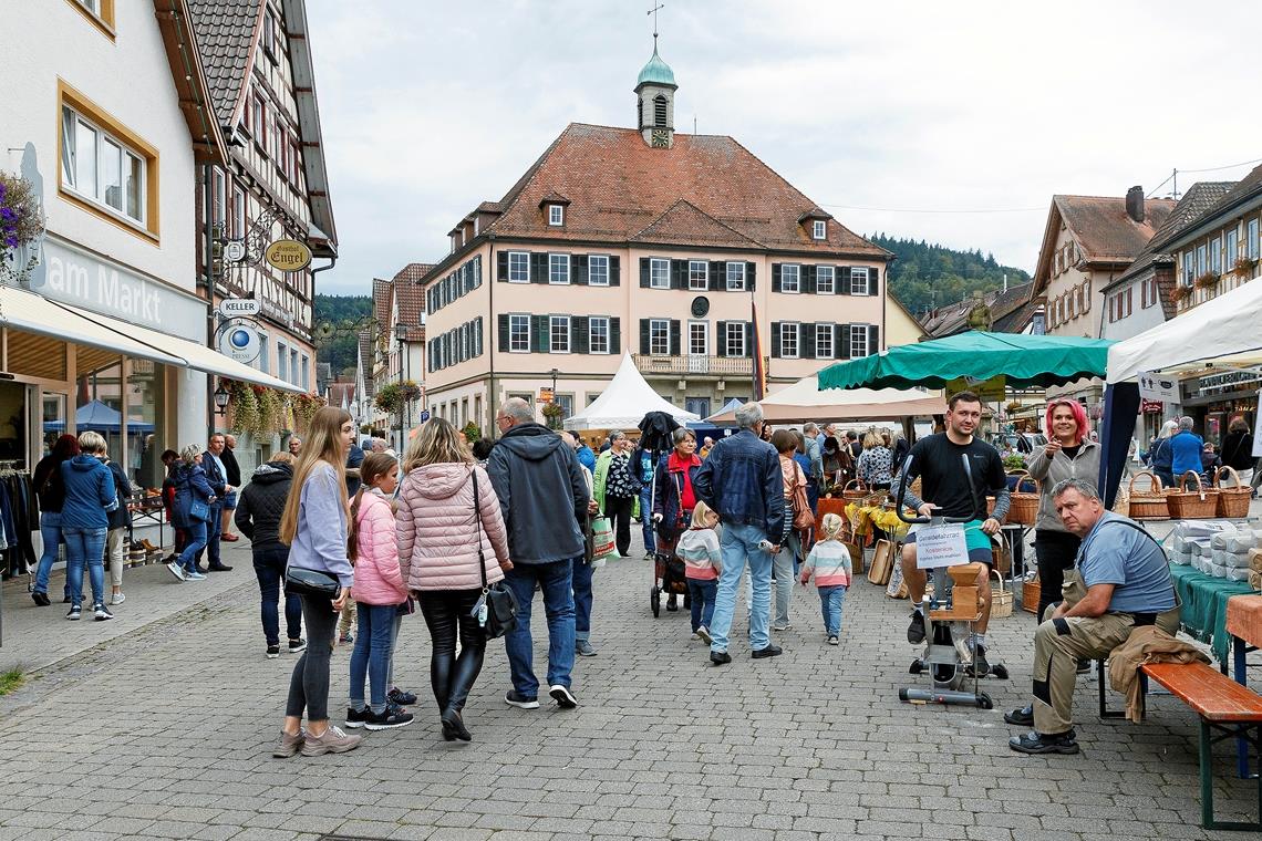 Der Herbstmarkt mit verkaufsoffenem Sonntag hat die Innenstadt belebt. Damit bei künftigen, ähnlichen Angeboten Markt und Geschäfte noch besser voneinander profitieren, sollten sie bei den Öffnungszeiten gleichziehen, so der Vorschlag der Händler. Foto: J. Fiedler